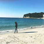 12558432_936201736444878_1785245670_a