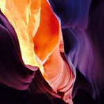 11410741_1003153716411479_1078545726_a