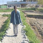 12599356_1742478742648395_942923073_a