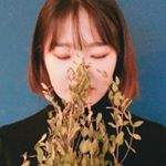 1172611_169024676790395_235823999_a