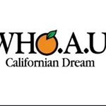 12105145_779435368845159_1666622743_a