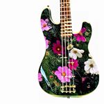 12142145_859592194148180_178152170_a