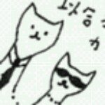 11379147_517892025025811_1122426938_a