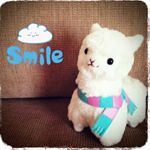 10598244_1681911332024943_114939582_a