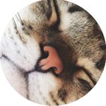 11311478_1481837072138369_1660314433_a