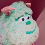 12552365_550032095170459_948975343_a