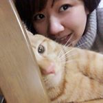 12424846_595311850626538_1867371214_a