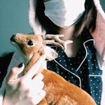 12558678_454861411366747_315176367_a