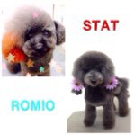 11018507_611020839034359_1940356877_a