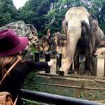 11906211_1496788430632290_44014189_a