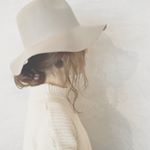 12338598_915828031838959_649120072_a