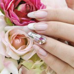 11116827_1011106412252514_329994975_a