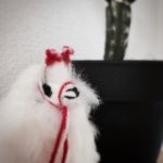 11355867_1614690398772762_1063457704_a