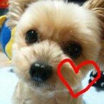 10369447_339907516161477_919843204_a