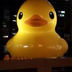 12063022_953902884676186_1370712930_a