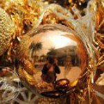 11142995_748677961914785_1568111559_a