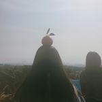 12556049_151214401927326_2076221989_a