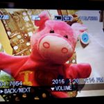 12558698_941369239289241_181744813_a