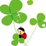 12479491_1510036922632878_1712355672_a