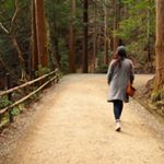 12568277_832510933538961_2013382445_a