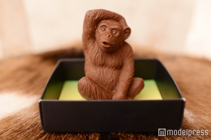 チンパンジーをリアルに再現(C)モデルプレス