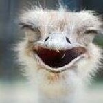 11930880_1627877934134535_1863545706_a