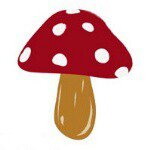 12080698_1630713293855043_346911253_a