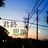 Nec_0569-1_normal