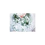 12568792_950766871674189_1744772617_a