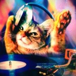 11906247_875236739180248_170809438_a