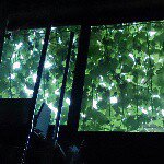 10860076_727787423982130_649243194_a