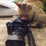 10932292_1555656701343452_1762917227_a