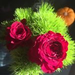 11848923_456336881205875_196411611_a