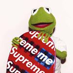 12277494_198876247113238_1797419173_a