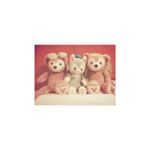 12568106_180498482307918_1655077815_a