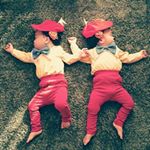 12298835_1659387117672356_1094658962_a