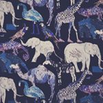 12132784_1631853930396694_1468628476_a