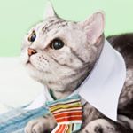 12555860_576925025792354_463182887_a