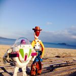 12568338_557466507740050_881631277_a