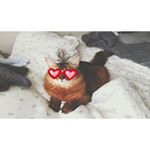 12568255_577339529096920_1050354395_a