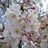 Ca390355-0001_normal