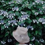 11351751_1706660746229079_1071177953_a