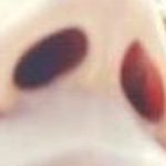 11385094_1442286296080896_802740749_a