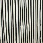 11324278_1452336491744346_972719180_a