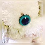 11355840_1068216773218964_1806548341_a