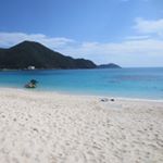 12568859_572776339543036_1158074839_a