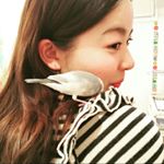 12479513_1702250229998386_2144099041_a