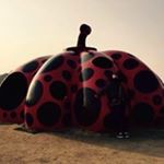 11313771_380936922095681_740335418_a