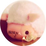 12729443_1655575691378482_1084493312_a