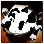 11373602_1633760530200430_601650620_a